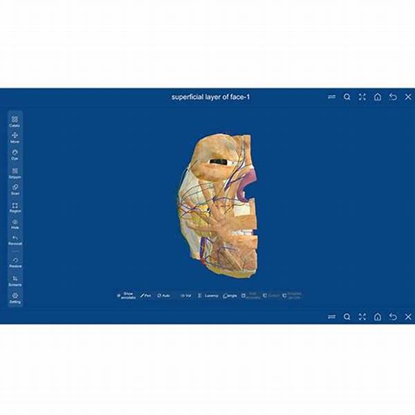 Bocoran Metode Pengajaran Anatomi Digital Yang Sedang Populer Di Universitas Top