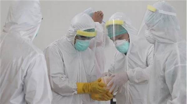 Apa Beda Nya Tenaga Medis Dan Tenaga Kesehatan