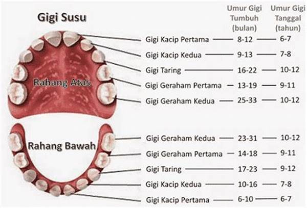 Apa Nama Istilah Medis Gigi Renggang