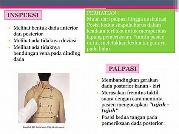 Apa Itu Perkusi Dalam Medis