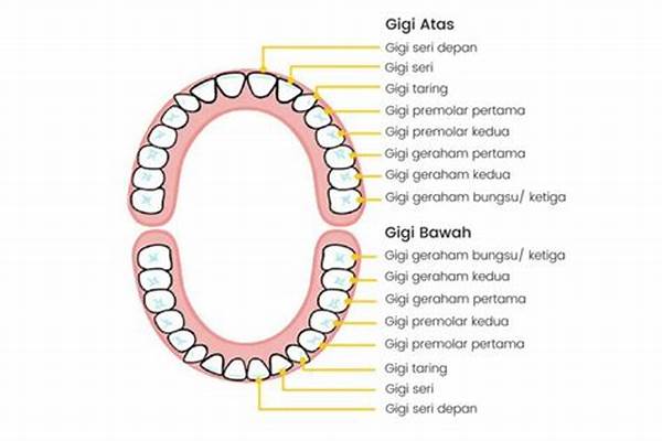 Apa Nama Istilah Medis Untuk Gigi Renggang