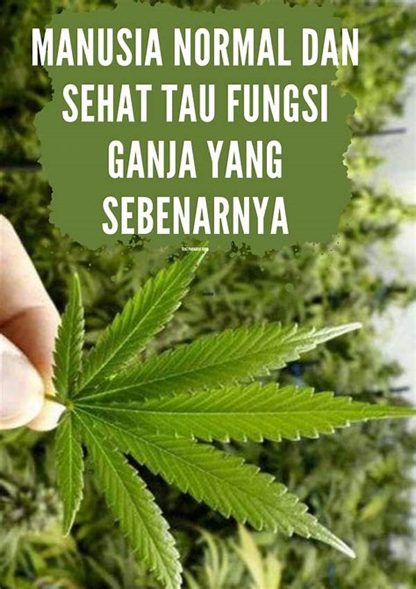 Ganja Medis Itu Apa